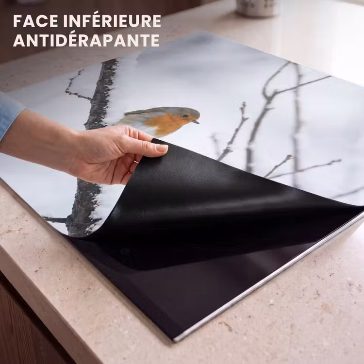Protection plaque induction - Merle - Branche - Neige - Hiver - Vif — 7