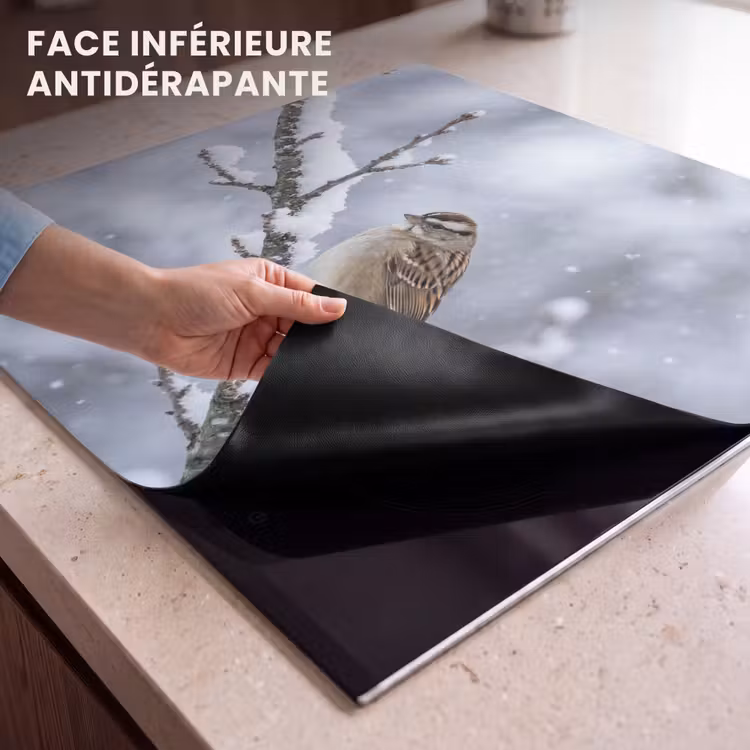 Protection plaque induction - Oiseau - Branche - Neige - Hiver — 7