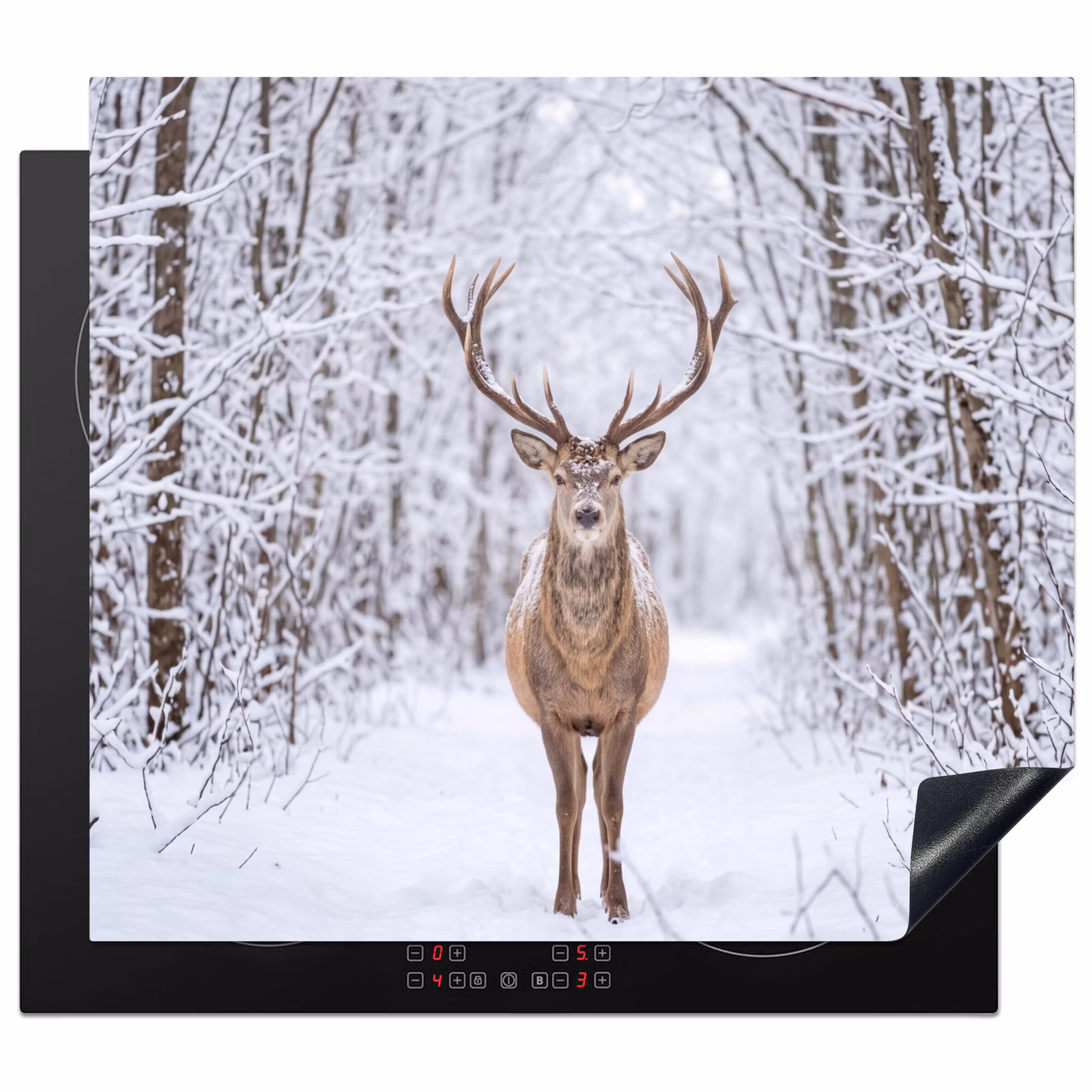 Protection plaque induction - Cerf - Hiver - Forêt - Nature - Blanc — 1