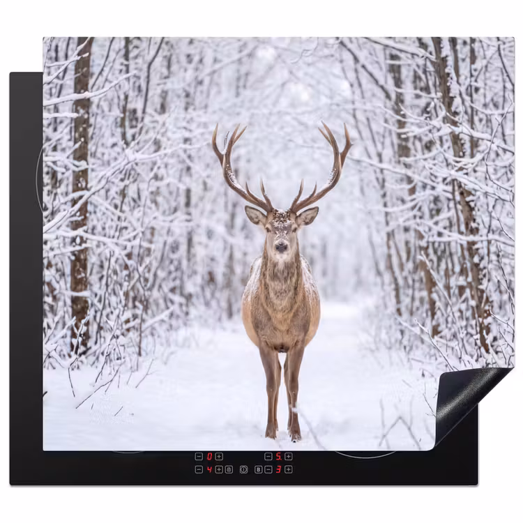 Protection plaque induction - Cerf - Hiver - Forêt - Nature - Blanc — 1