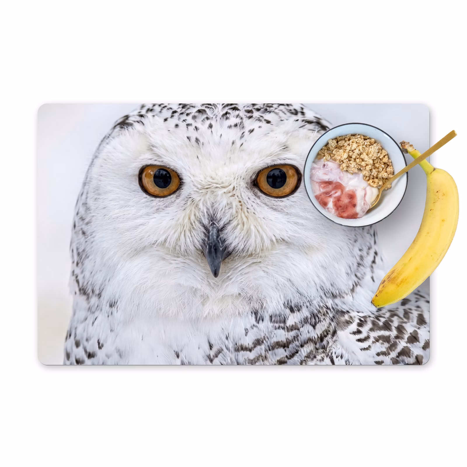 Set de table – 6 pièces - Harfang des neiges - Oeil - Faune et flore - Blanc — 1