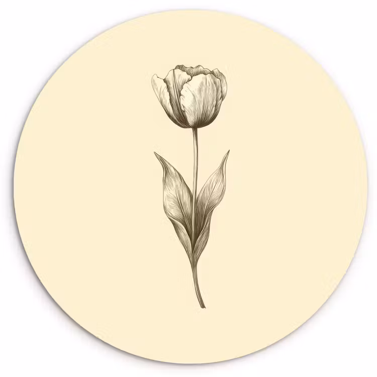 Tableau rond - Illustration - Tulipe - Noir — 1