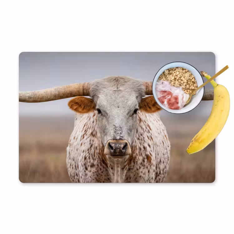Set de table – 6 pièces - Longhorn - Champ d'herbe - Animal — 1