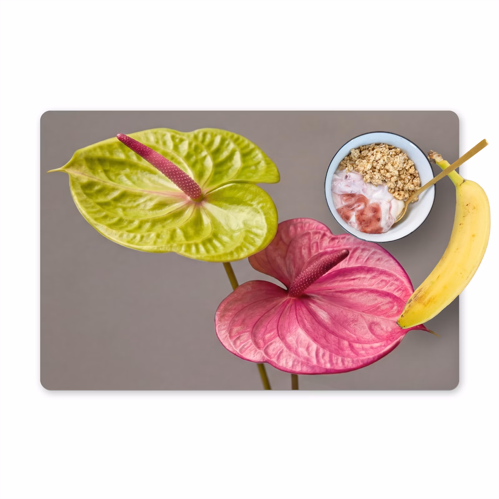 Set de table – 6 pièces - Plantes - Anthurium - Vert - Rose — 1