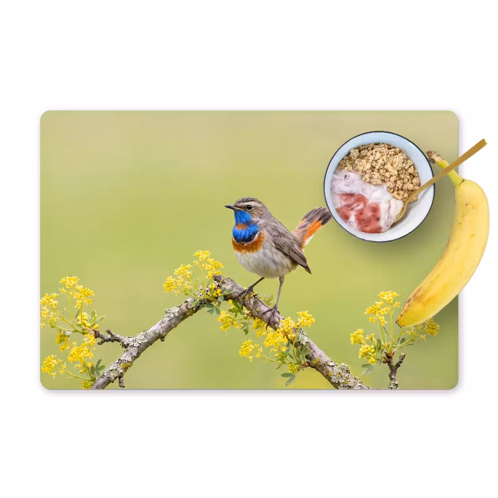 Set de table – 6 pièces - Oiseau - Branche - Nature - Coloré — 1