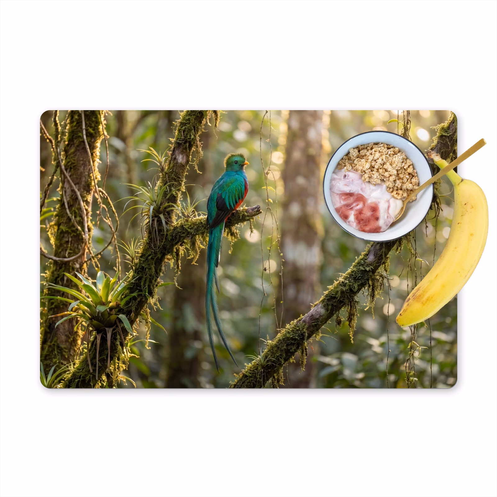 Set de table – 6 pièces - Quetzal - Jungle - Nature - Vert — 1