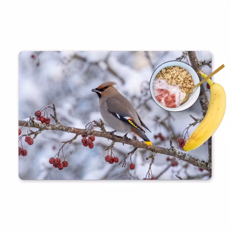 Set de table – 6 pièces - Loir - Baies - Hiver - Nature — 1