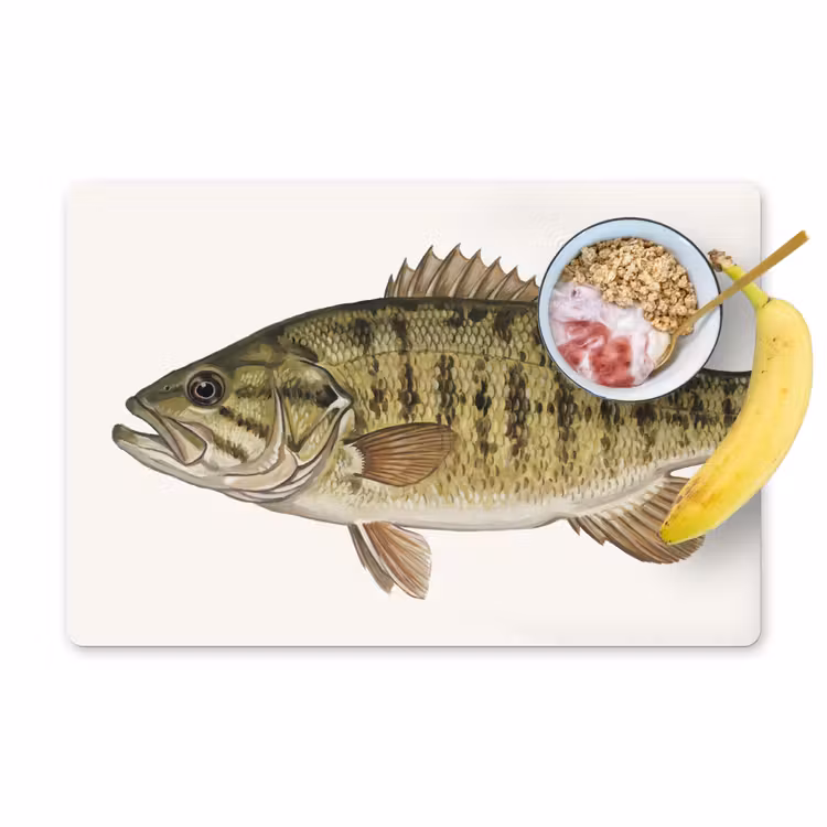 Set de table – 6 pièces - Poisson - Nature - Vintage — 1