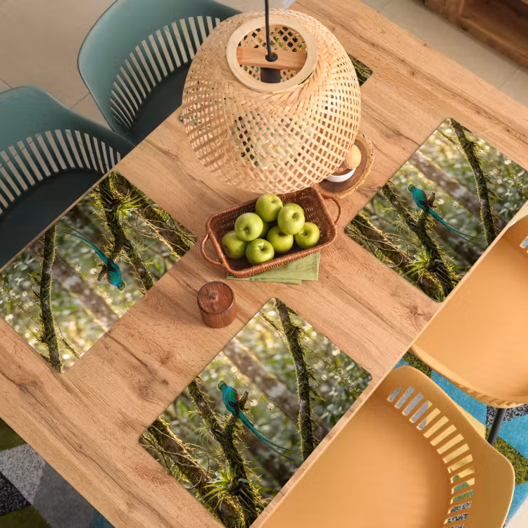 Set de table – 6 pièces - Quetzal - Jungle - Nature - Vert — 3