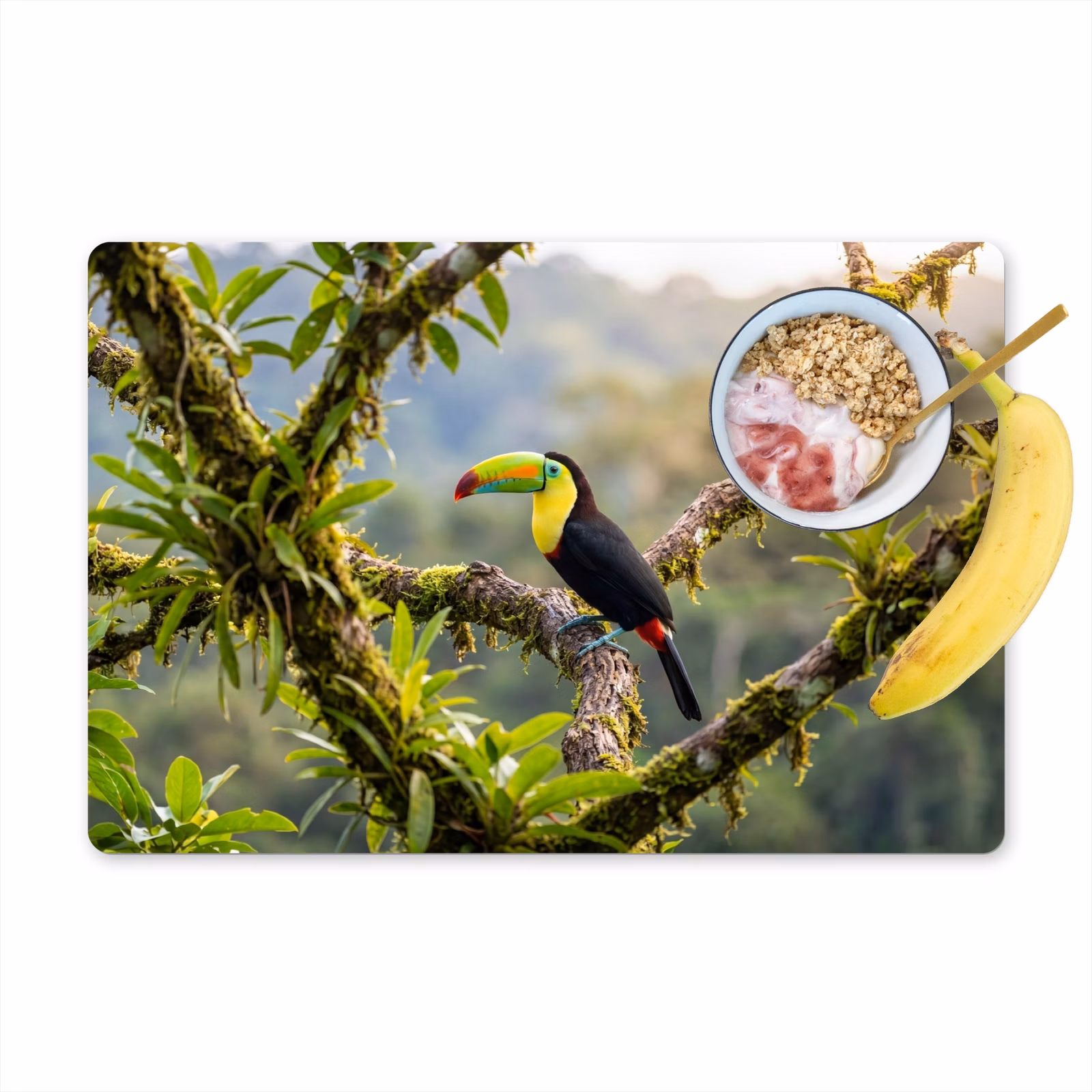 Set de table – 6 pièces - Toucan - Jungle - Nature - Coloré — 1