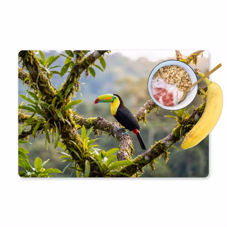 Set de table – 6 pièces - Toucan - Jungle - Nature - Coloré — 1