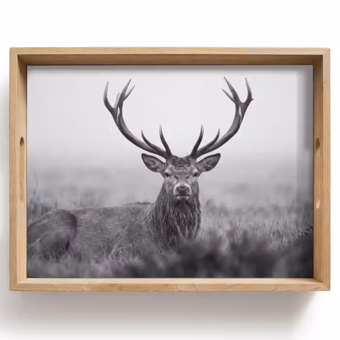 Plateau - Cerf - Brumeux - Noir - Blanc