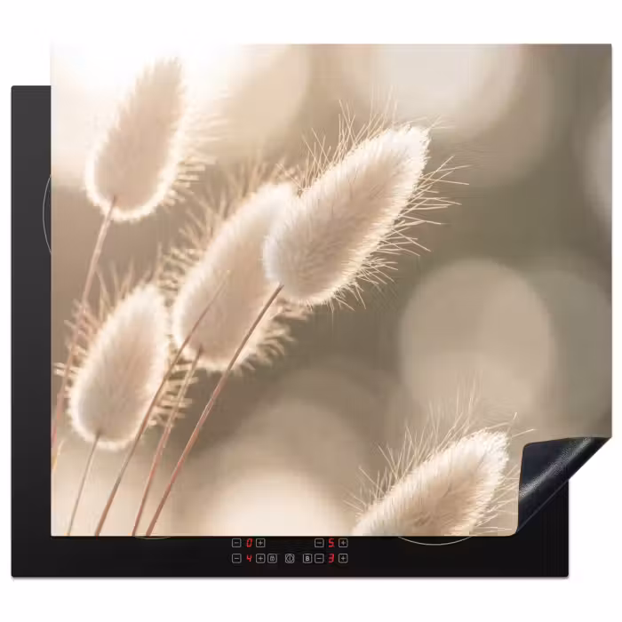 Protection plaque induction - Hazetail grass - Blanc - Sunlight