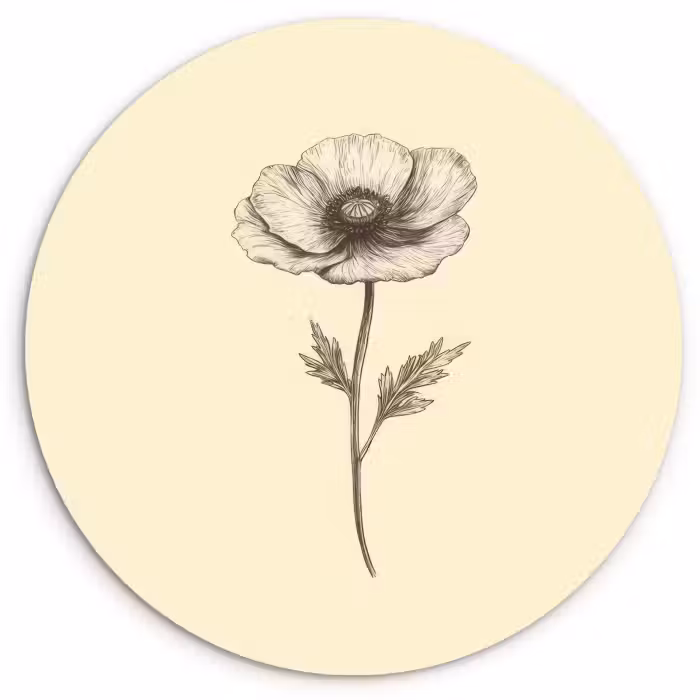 Tableau rond - Coquelicot - Illustration - Noir