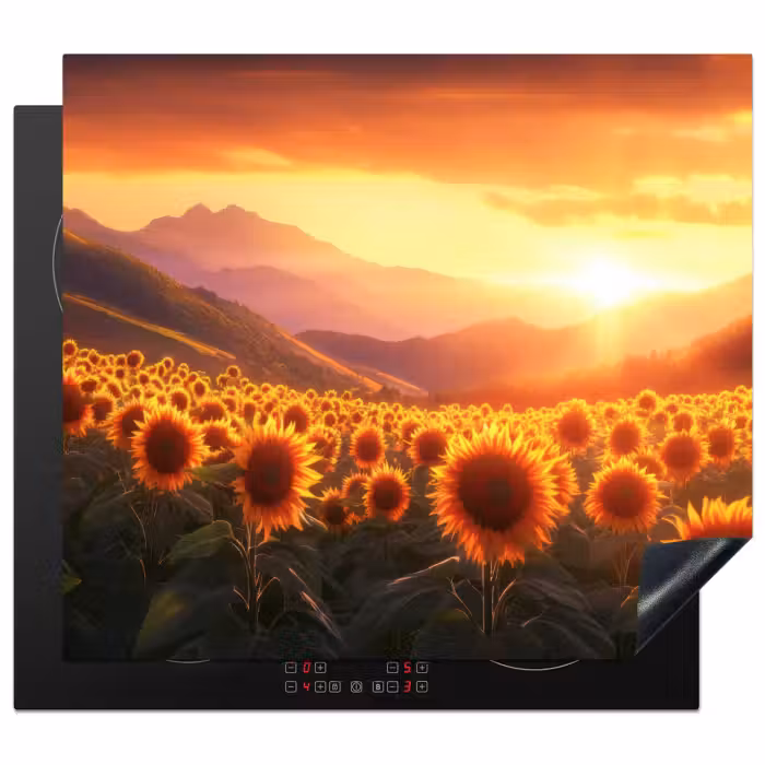 Protection plaque induction - Tournesols - Coucher de soleil - Paysage