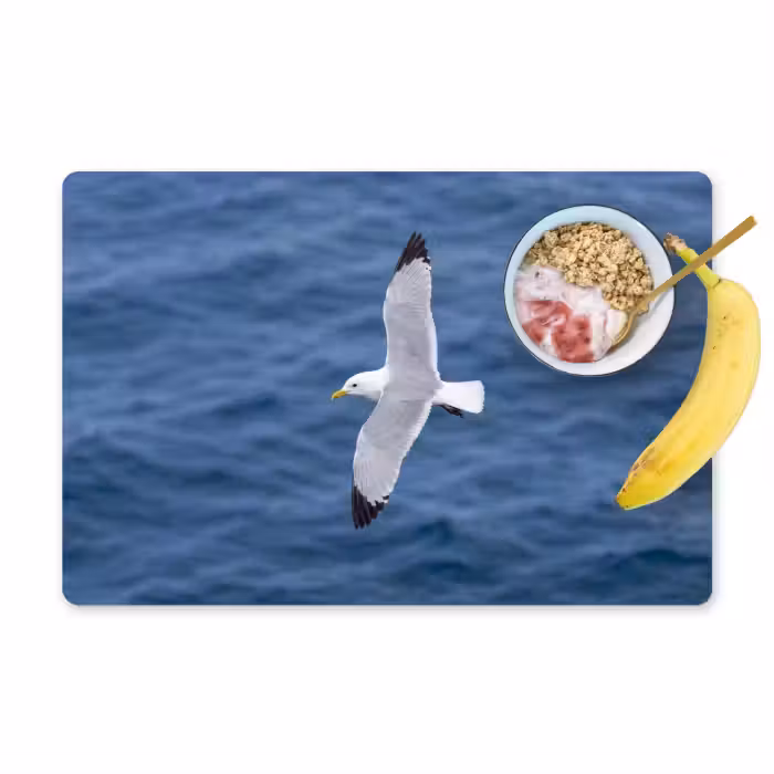 Set de table – 6 pièces - Mouette - Océan - Bleu