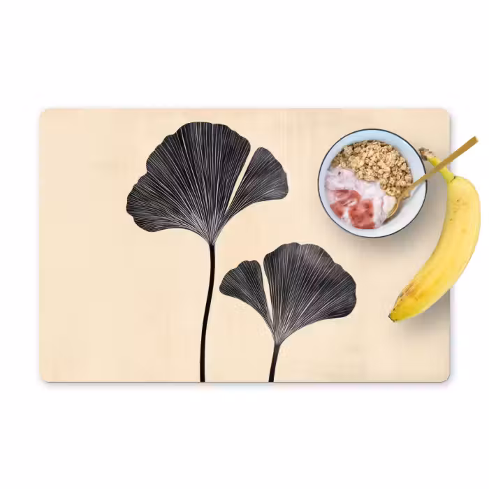 Sets de table en vinyle - Feuilles - Minimaliste - Noir