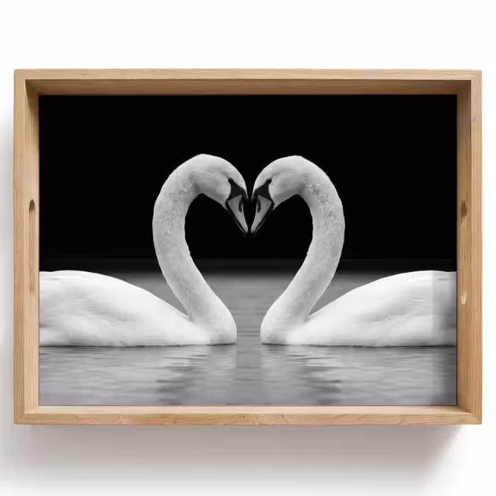 Plateau - Cygnes - Coeur - Noir - Blanc